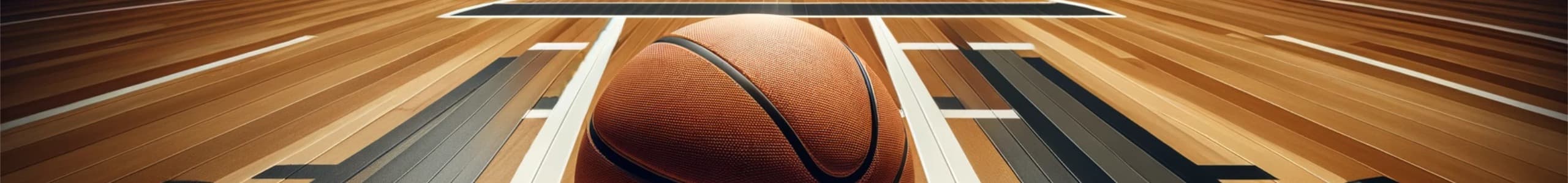 Fons pilota de bàsquet
